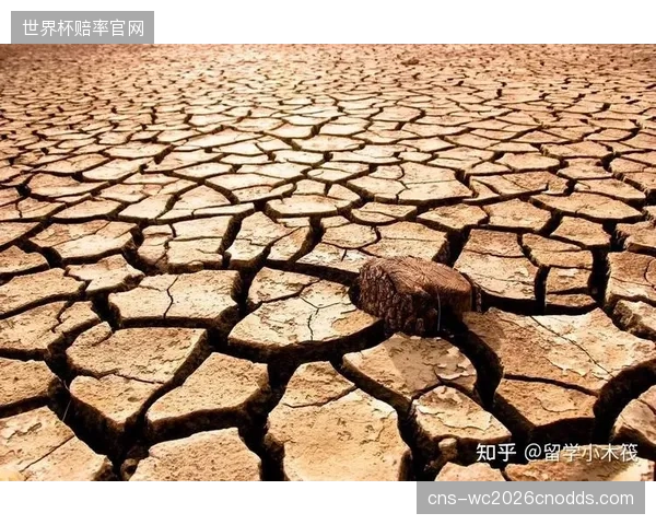 布比斯塔的战术对体能要求极高，北美赛区的高温将是严峻考验。